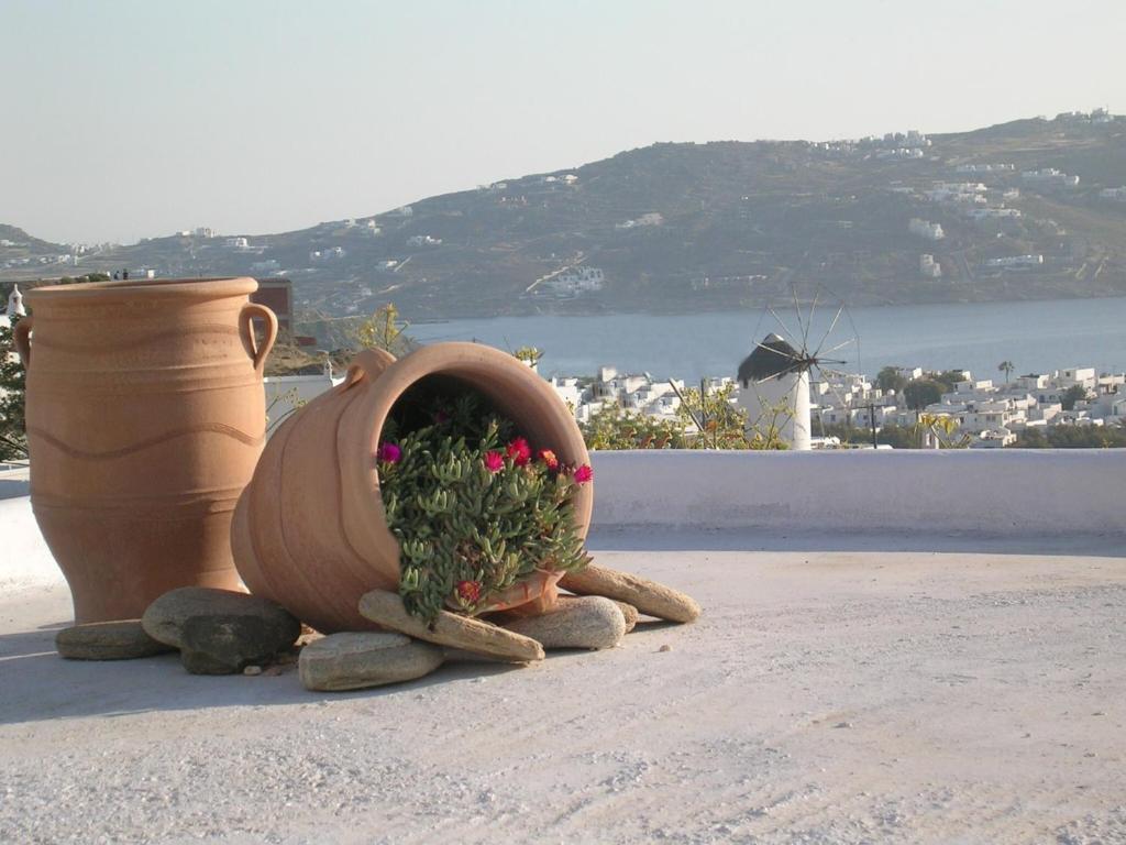 La Veranda Of Mykonos Traditional Guesthouse Mykonos Town Kültér fotó